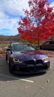 https://t.me/bmw_mpower_club