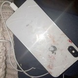 ￴￴￴￴