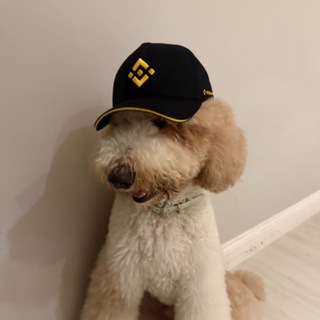 MARCO Binance Dog