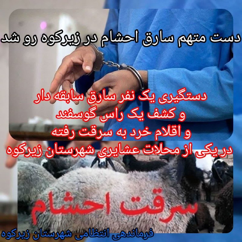 پایگاه خبری زیرکوه نیوز: ❇️دستگيري سارق احشام در زیرکوه🔸فرمانده انتظامي"زیرکوه" از دستگيري ۱ نفر سارق و کشف ۱ فقره سرقت احشام در اين شهرستان خبر 
