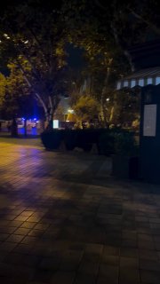 השועל הזה נצפה שוב בשדרות באקו. החיה הלכה בשלווה לאורך השדרה, בלי לשים לב לעוברים ושבים. נציין שזה לא המקרה…
