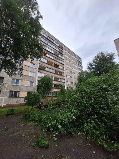 На страны Балтии обрушился рекордный шторм. Есть жертвы, сотни тысяч домохозяйств остались без светаВ ночь на 23 августа Латвию накрыл сильнейший летний шторм как минимум с 1966 года. Один человек погиб, пострадали еще 14 человек. Об этом сообщает агентств