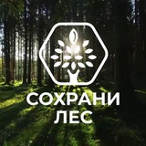 Сохрани лес | Лига Заботы