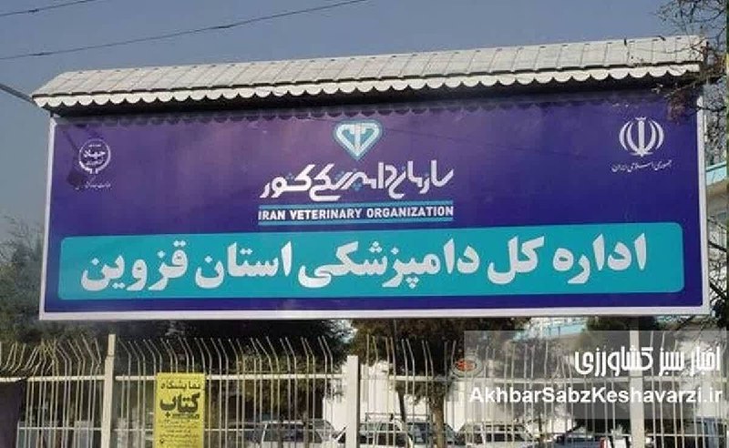 رسانه دانشجویان دامپزشکی ایران: 🔺صدور پروانه دامپزشکی در قزوین به خرید عسل مشروط شده است؟+نامه‌🔹اظهارنامه‌ای درباره فروش اجباری عسل برای صدور پروانه در 