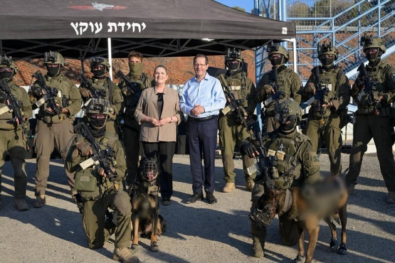 שושי חתוקה