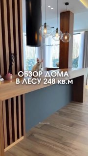 Обзор дома 248 кв.м в лесу. Есть все для семейной жизни! Дизайн - изображение 1 - обзор, дома, 248