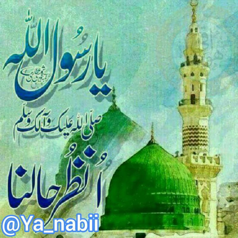 کانال سروشتی جوانرود: 🔷 اگــه عـــاشــق‌حـــضــرت‌رســـولﷺوخ‍ـلـفـای‌راشـدین (رضی الله ‌عنهم)‌وحضرت عایشه صـدیـقـه مـطهـره (رضی الله عنها)هسـت