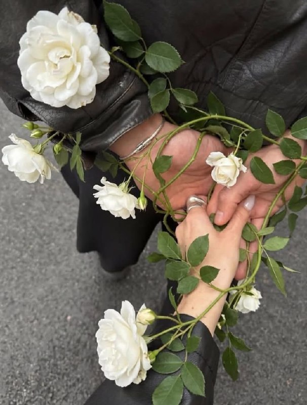 عاشقانه های ماه و شب: تا آينه رفتم كه بگيرم خبر از خويشديدم كه در‌آن آينه هم جز‌تو كسی نيست!@aghbbano#هوشنگ‌ابتهاج