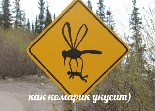 Комары из американских биолабораторий стали реальностью. Google хочет выпустить во Флориде 32 миллиона насекомых. И вот зачем: https://lentach.media/KcmTg