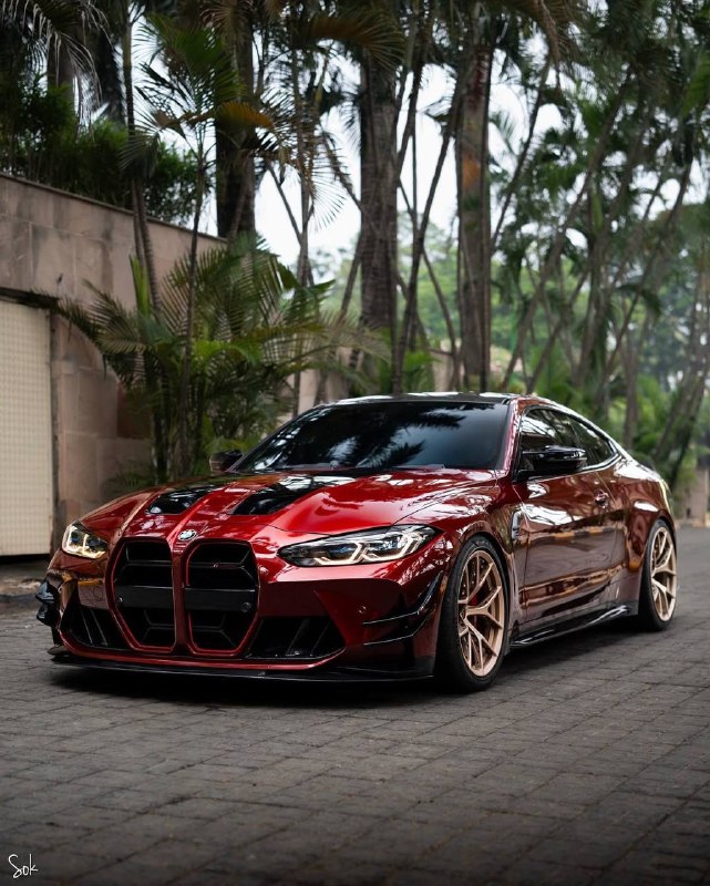 BMW M Powerhttps://t.me/bmw_mpower_club#bmw #mpower #bmwmpower #bmwworld #bmwmpo