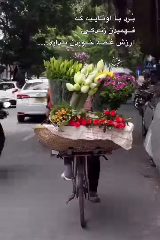 🌷در جستجوی شهدا 🌷: به مبارکی و شادی چو نگار من درآیدبنشین نظاره می‌کنتو عجایب خـــــــــدا رادرود صبحتون بخیرروزتون مملو از آرامش ❤️🌷☀️ به 