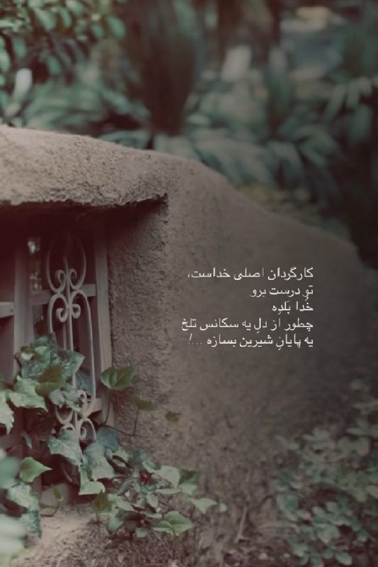 👑 شهر عکس 👑: 💜 @shahreeaks 💜