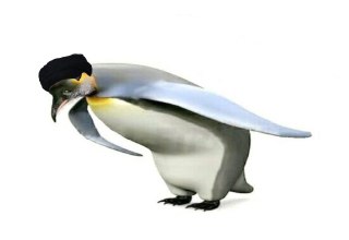 Совет экспертов Ирана избрал Моджатабу Хаменеи новым верховным лидером исламской республики, сообщает Mehr.