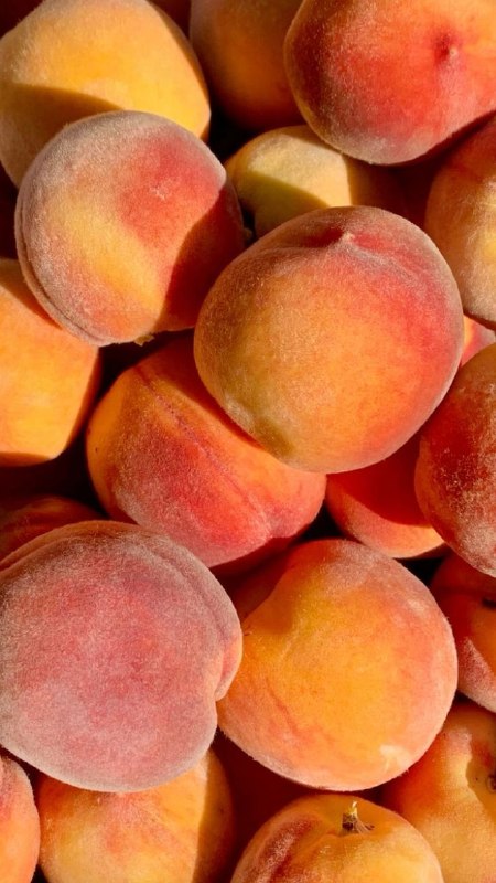 کانال 20💛: امروز روز جهانی هلوئه. 🍑