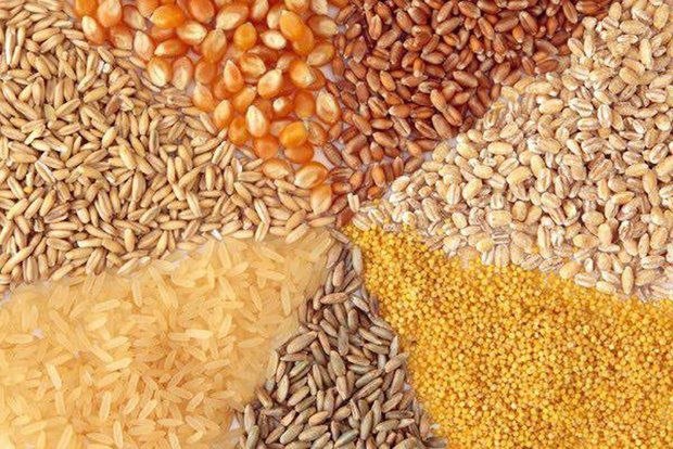 🇮🇷کلات نیوز 🇮🇷: تامین نهادههای دامی با شرایط تسهیلشده 🌾کنسانتره دامی | ذرت | جو | سبوس🏭مستقیم از کارخانه (کیفیت تضمینی)🌟فروش با شرایط