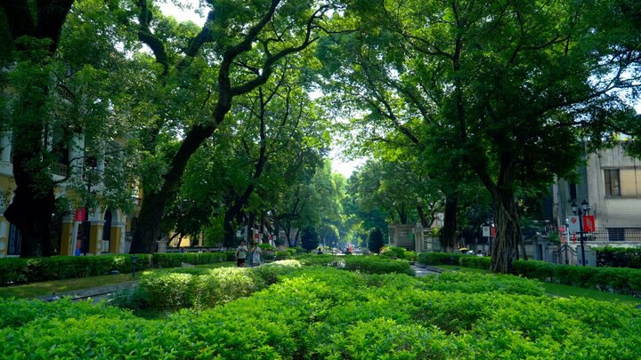 羊城拾翠｜廣州沙面