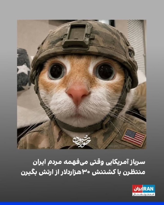 اتحادیه بقیة الله الاعظم (عج): ⚫️ سرباز آمریکایی وقتی میفهمه قراره اعزام شه واسه حمله زمینی به ایران و مردم هم منتظرن با کشتنش ۳٠هزاردلار از ارتش بگیر