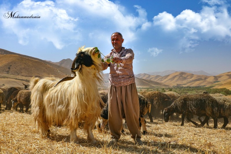 PiranshahrRudaw: 🌱امروز دوشنبه🔹۱۶ شهریور ۱۴۰۵ هجری شمسی🔹۱۶ی خەرمانانی ۲۷۲۶ کوردی 🔹۷ سپتامبر ۲۰۲۶ میلادیعکس: طبیعت پیرانشهر 🆔: @piranshahr