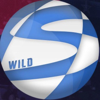 Wild Basketball NEWS Telegram Group Link