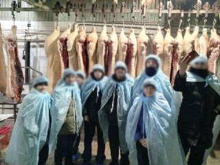 В Красноярском крае восьмиклассникам в поселке Малиновка устроили экскурсию на скотобойню, сообщает телеграм-канал «Оса» со ссылкой на родителей школьников.По их словам, на экскурсии детям показали колбасный и убойных цеха. В последний некоторые ученики от
