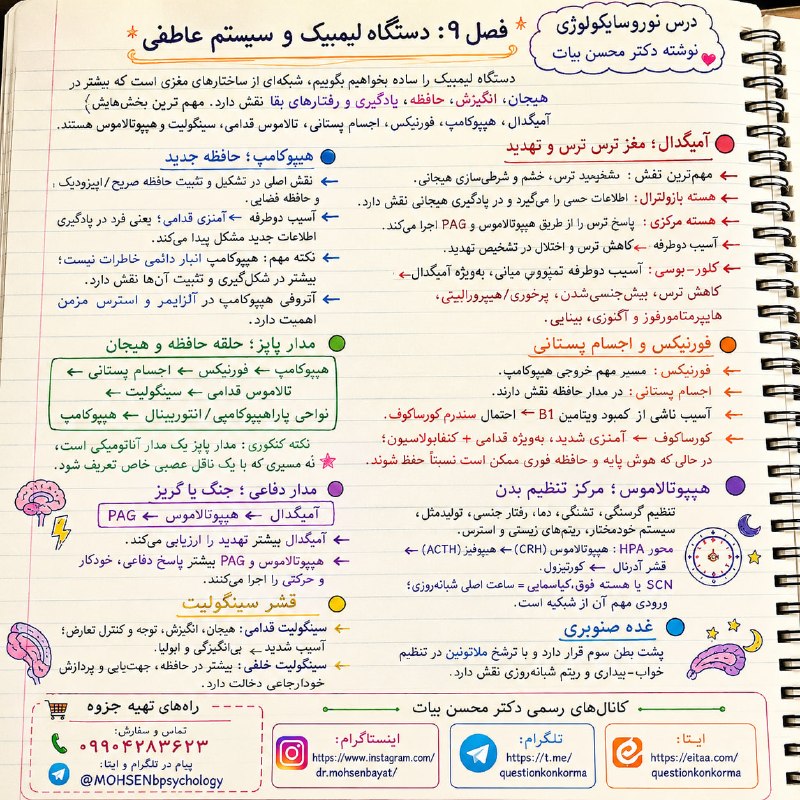 مقاله، پایان نامه، رساله، کتاب، استخدامی.مشاوره کنکوری: 🧠 نوروسایکولوژی تخصصی روانشناسی⚡️ ویژه داوطلبان کنکور روانشناسی🔱 فصل ۹ | سیستم لیمبیک📚 بخش اول━━━━━━━━━━━━━━━━━━✦ تألی