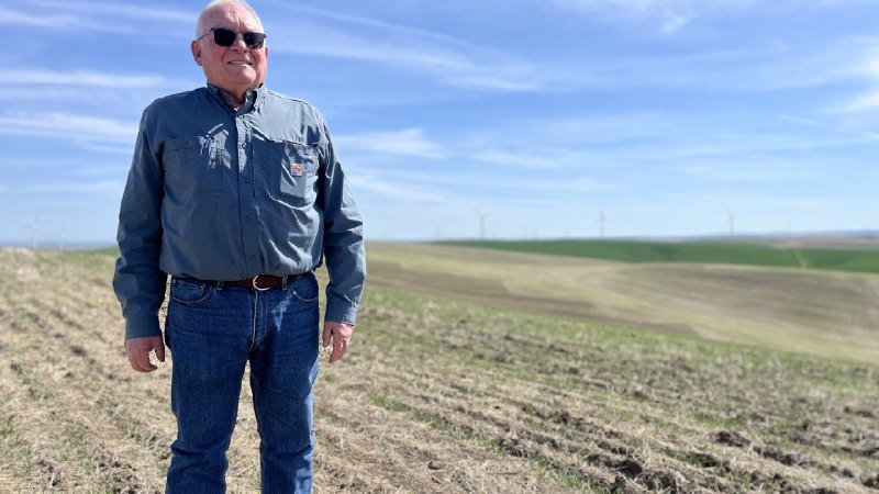 Low prices and Trump's trade war are pushing these Northwest farmers to the brink