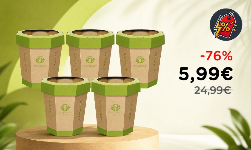Cestini Cartone Riutilizzabili 12L - Affare Imperdibile a Solo 5,99€!