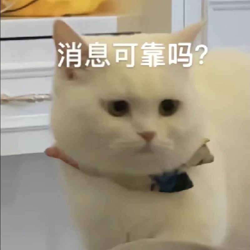 昨天爆肝了183张图，这个月的xhs更新素材都有鸟～在实战里，我也发现，很多教程写的特别复杂，一看就烧脑的那种，所以我重新以小白第一人称视角，重新记录了入手Midjourney的步骤
