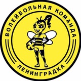 Волейбольная команда «Ленинградка»