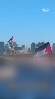 הם אסרו את השלטים שלהם בפארק, אז הם העבירו אותם למים.