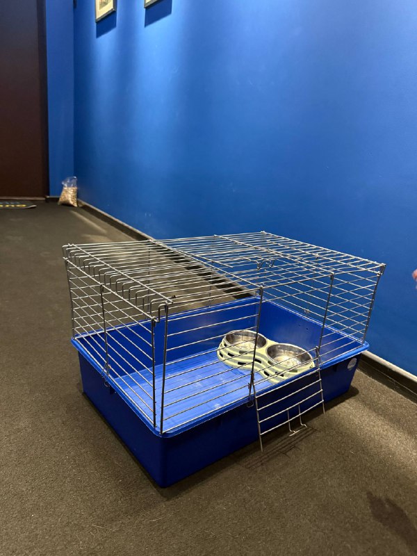 Клетка для морской свинки — фото 1