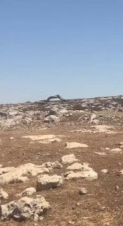 רשת חדשות ירושלים