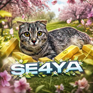 Telegram profile photo for Se4ya | SO2