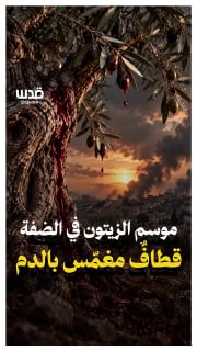 "In many areas, the condition of the farmer has become like a thief, trying to hide from view on his land!"