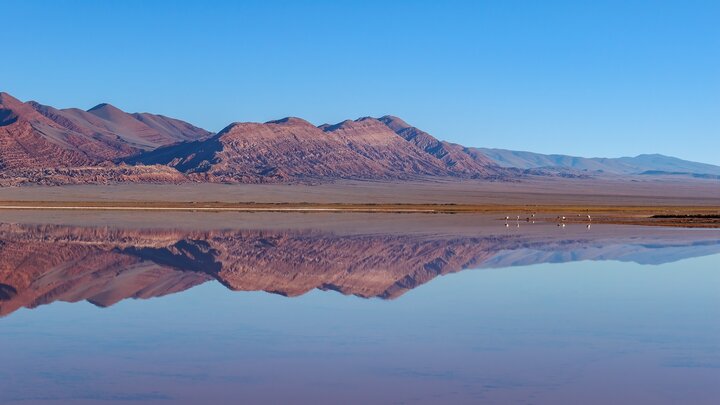 #阿根廷 不一樣的西北高原（下）