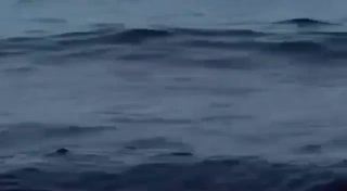 הנפט ממכליות העל שנפגעו במיצר הורמוז הגיע לחופי איחוד האמירויות, והחופים בכל רחבי אום אל-קוואין מכוסים כעת…