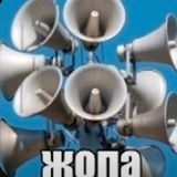 вонючее логово Церы🐗