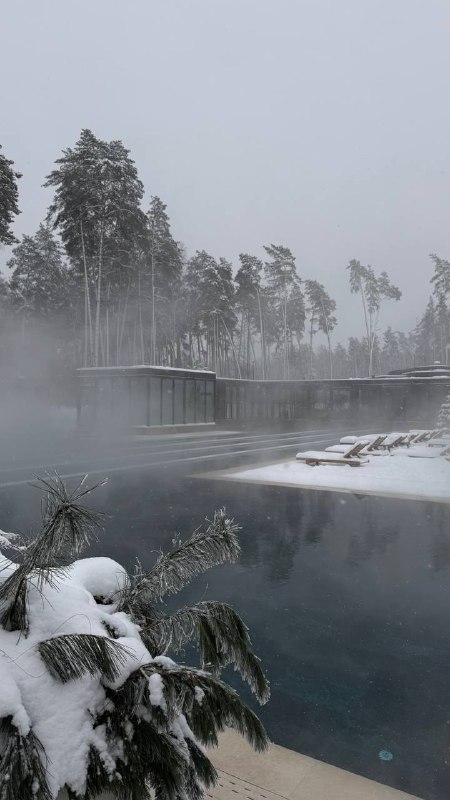 Alaska Pool Club в парке Малевича невероятная атмосфера, собственный ресторан, теплый бассейн под открытым небом, сауна и уютная лаундж-зона. - изображение 2 - alaska, pool, club