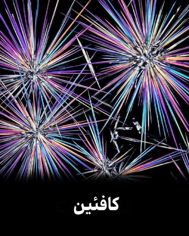 توییتر فارسی: تو دنیای زیر میکروسکوپ چه خبره :*𝐀𝐙𝐀𝐃 〽️*@OfficialPersiaTwiterتو دنیای زیر میکروسکوپ چه خبره :*𝐀𝐙𝐀𝐃 〽️*@OfficialPersiaTw
