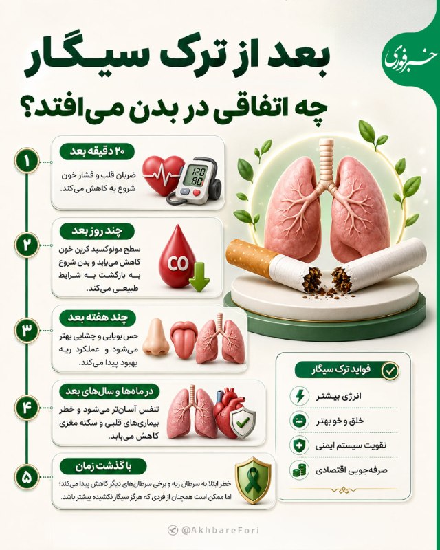 خبرفوری: ♦️بعد از ترک سیگار چه اتفاقی در بدن می‌افتد؟#اینفوگرافی @Fori_Graphi