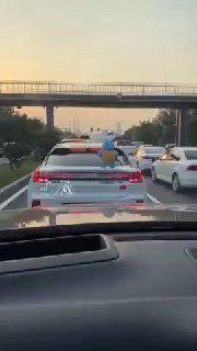 Аксессуар для тех, кого бесят поджимающие в пробках 👍