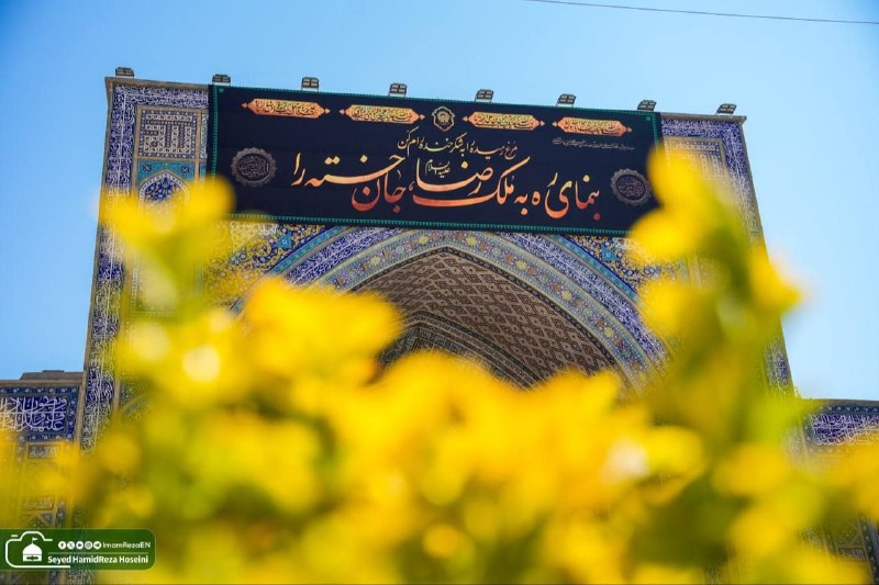 امیرالمومنین علی علیه‌السلام: ‏سلام‌های پیوسته‌ی ما به تو که صاحب رئوف‌ترین قلب جهانی.#یارئوفـــــ