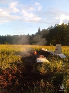 Два человека погибли в результате крушения легкомоторного самолета в Подмосковье, заявили в МЧС. Авария произошла в Сергиево-Посадском городском округе. Падение случилось при заходе на посадку