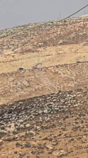 כוחות הכיבוש מחרימים דחפור פלסטיני בעת שעבדו במשולש הכפר דיר סמט, מדרום-מערב לחברון.