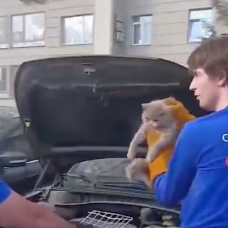 И к действительно важным новостям. В Москве спасли сурового кота, который застрял под капотом машины.Как сообщает SHOT, застрявшего котика обнаружил хозяин авто — сначала попробовал достать его сам, но не смог и позвал на помощь спасателей. После успешного