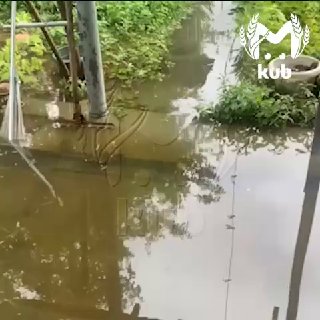 В Армавире эвакуируют местных жителей из-за угрозы подтопления домовВ связи с повышением уровня воды в реках Кубань и Уруп появилась угроза затопления прибрежных территорий Армавира. На этом фоне администрация города приняла решение об эвакуации жителей из