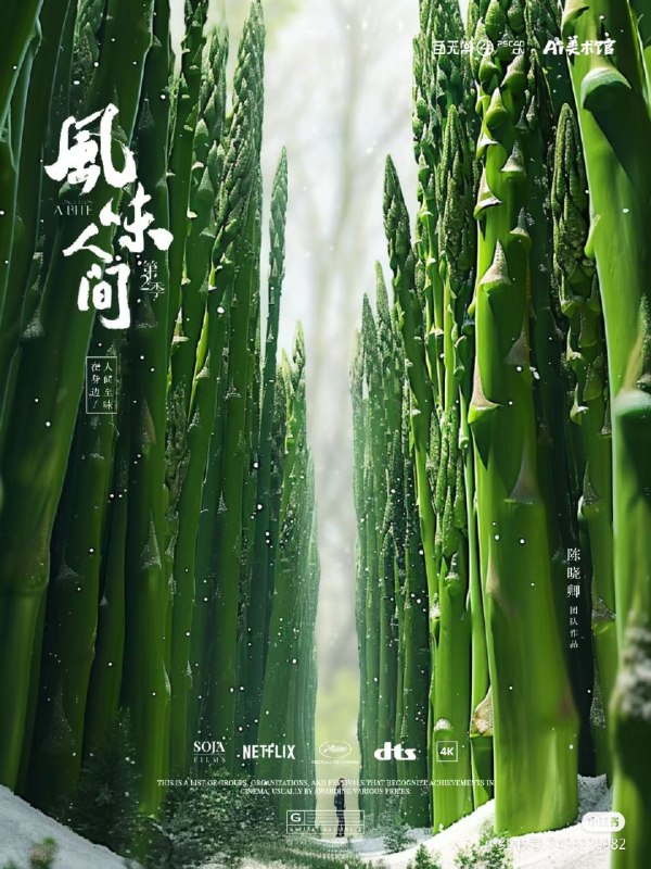 一组效果不错的 MJ 提示词一组效果不错的 MJ 提示词