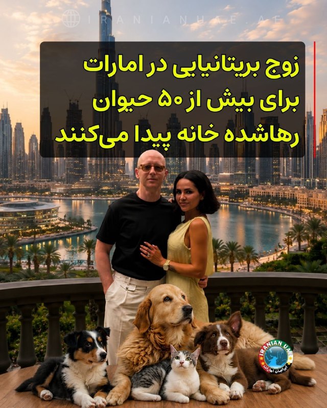 ایرانیان امارات: ‌‌‏❤️ زوج بریتانیایی در امارات برای بیش از ۵۰ حیوان رهاشده خانه پیدا می‌کنند چارلی و السا بنان، زوج بریتانیایی-ترکیه‌ای 