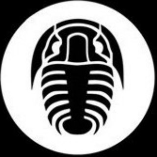 Telegram profile photo for Paleonews.live — Лига палеонтологии
