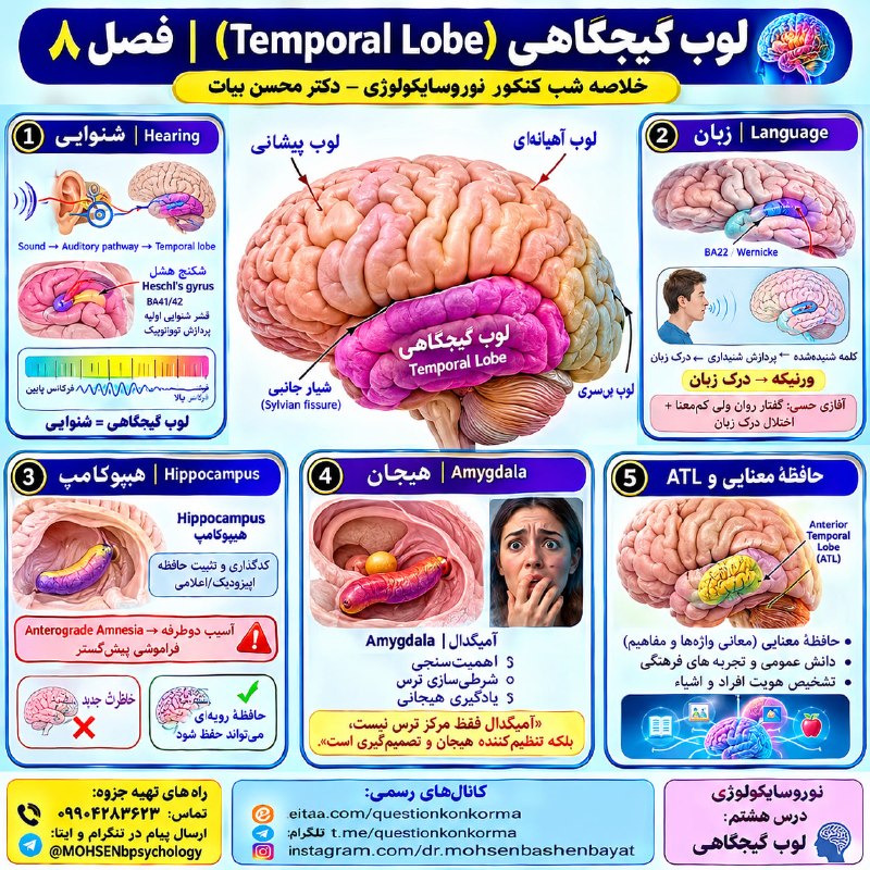 مقاله، پایان نامه، رساله، کتاب، استخدامی.مشاوره کنکوری: 🧠 نوروسایکولوژی تخصصی روانشناسی⚡️ ویژه داوطلبان کنکور روانشناسی🔱 فصل 8 | لوب گیجگاهی📚 بخش دوم━━━━━━━━━━━━━━━━━━✦ تألیف